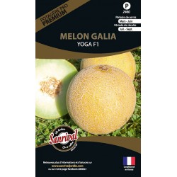 Graines de Melon Galia Yoga F1