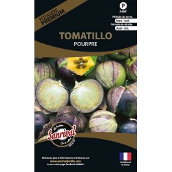 graines de Tomatillo Pourpre