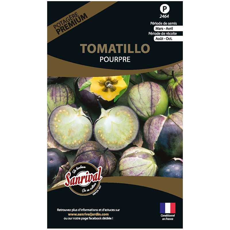 graines de Tomatillo Pourpre