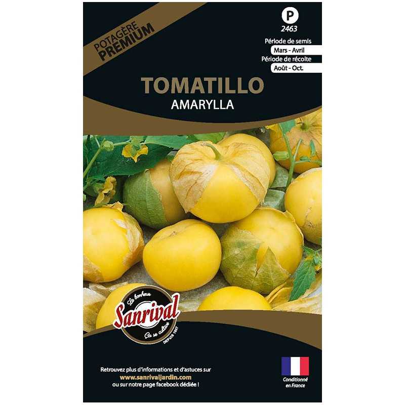 graines de Tomatillo Amarylla