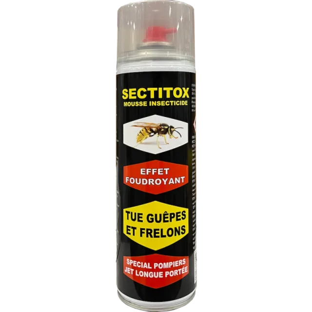 Conditionnement de Mousse foudroyante guêpes & frelons