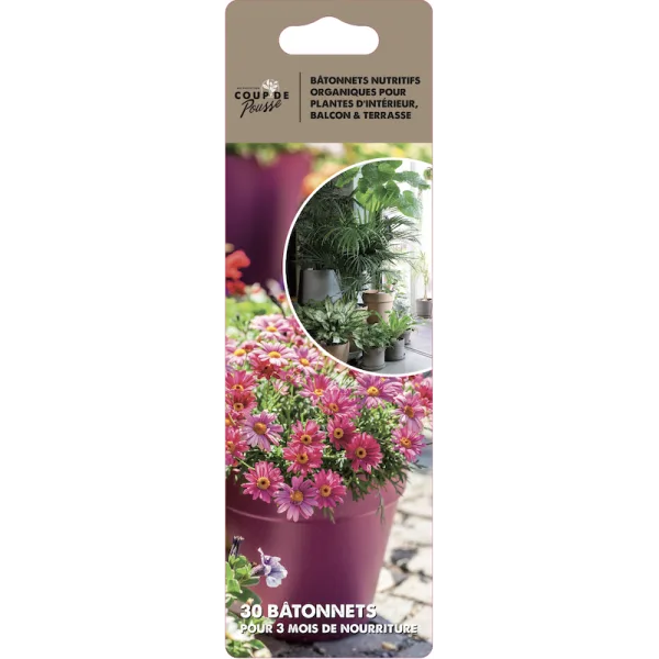 Engrais bâtonnets pour plantes et fleurs d’intérieur et balcon