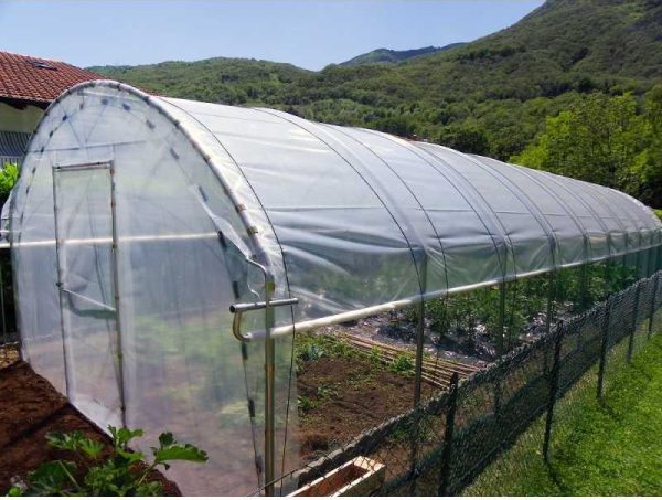 Serre tunnel Premium Girasole 48 m²