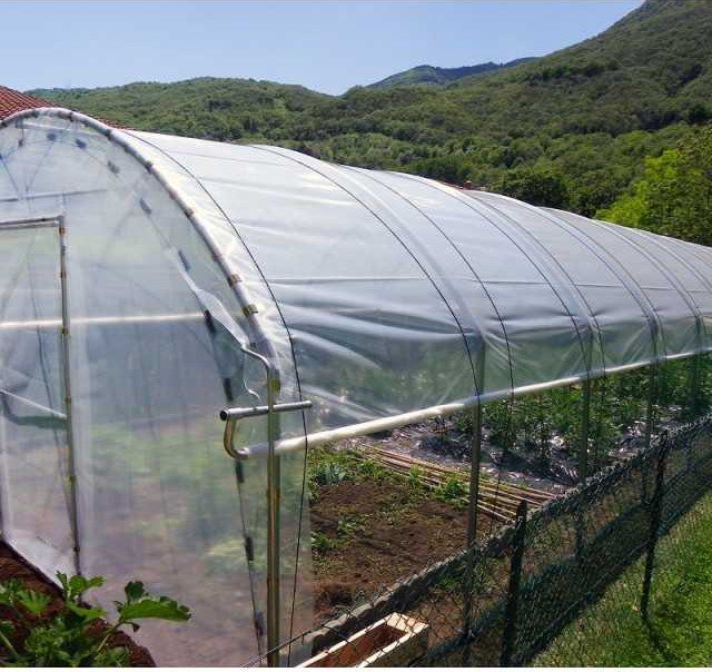 Serre tunnel Premium Girasole 48 m² - serre tunnel Sanrival