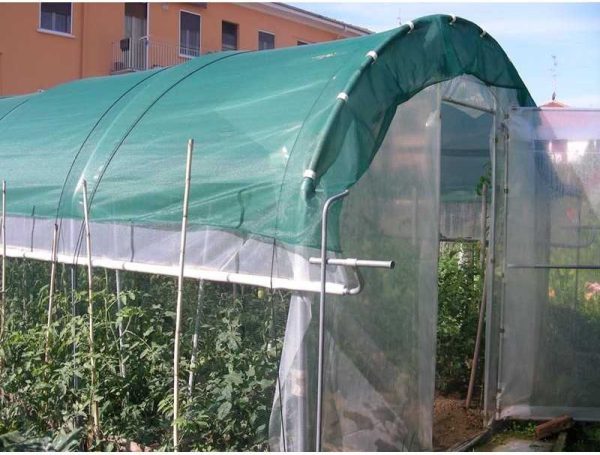 Serre tunnel Premium Orchidea 18 m²