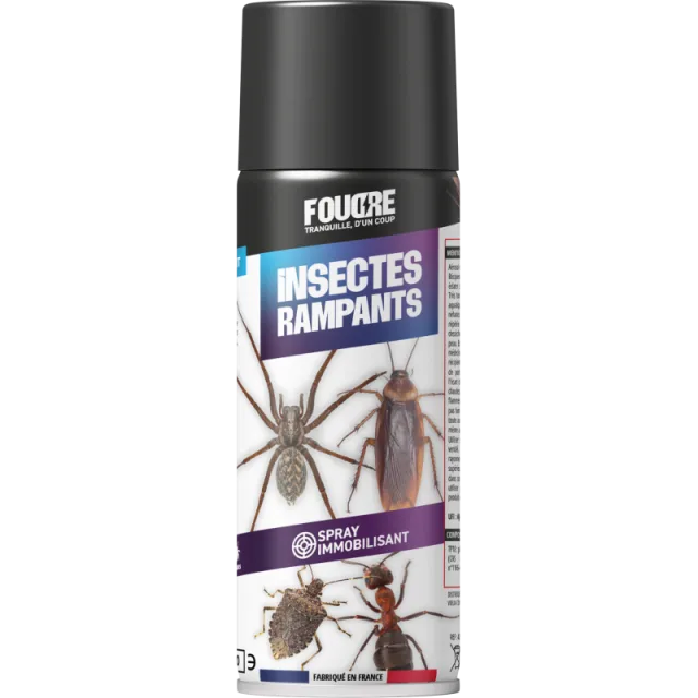 Spray immobilisant insectes rampants FOUDRE
